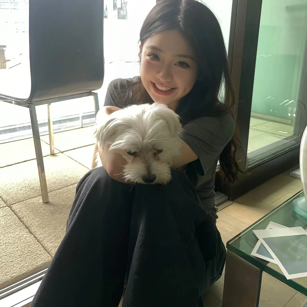 黑赦会